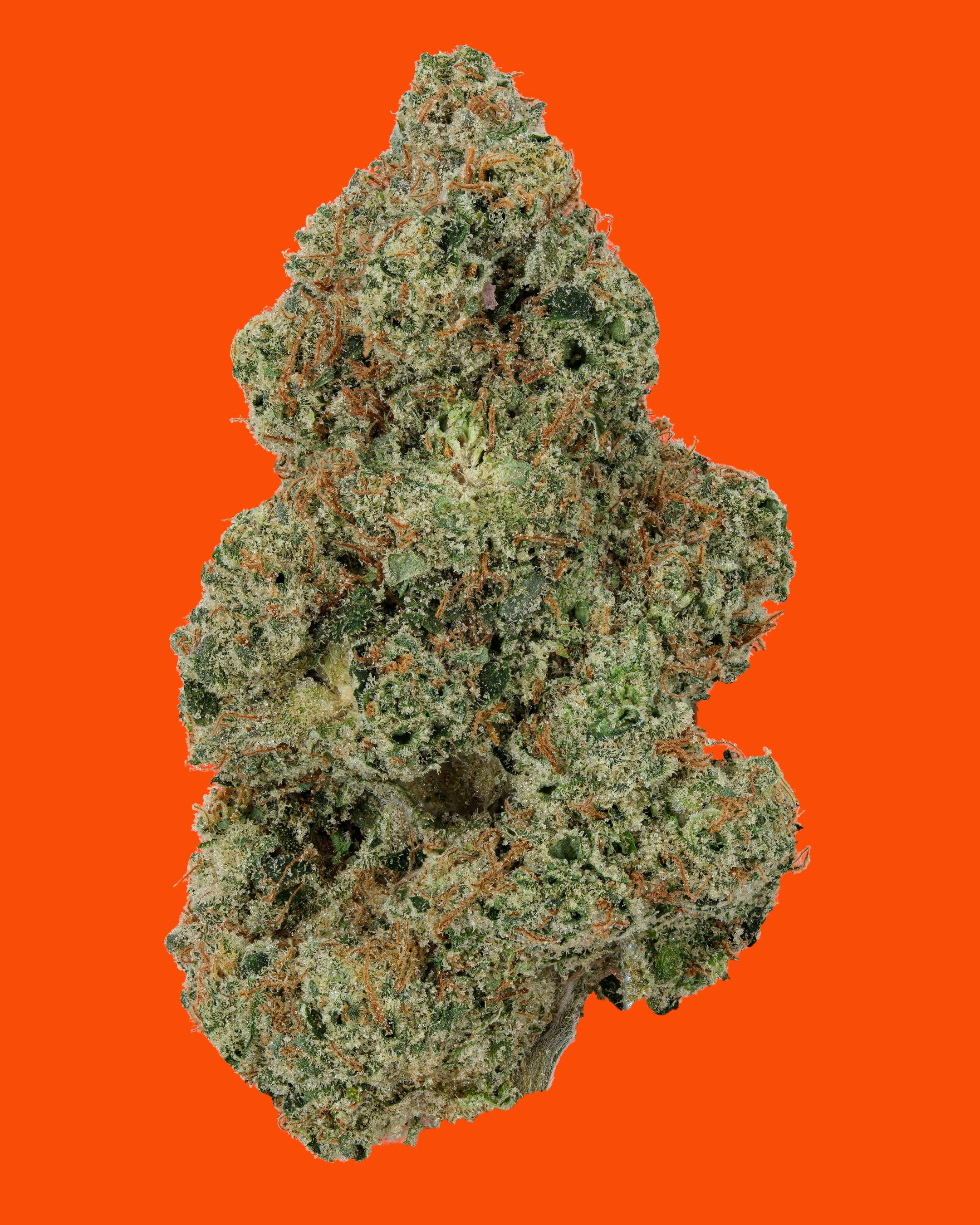 Chem Krush