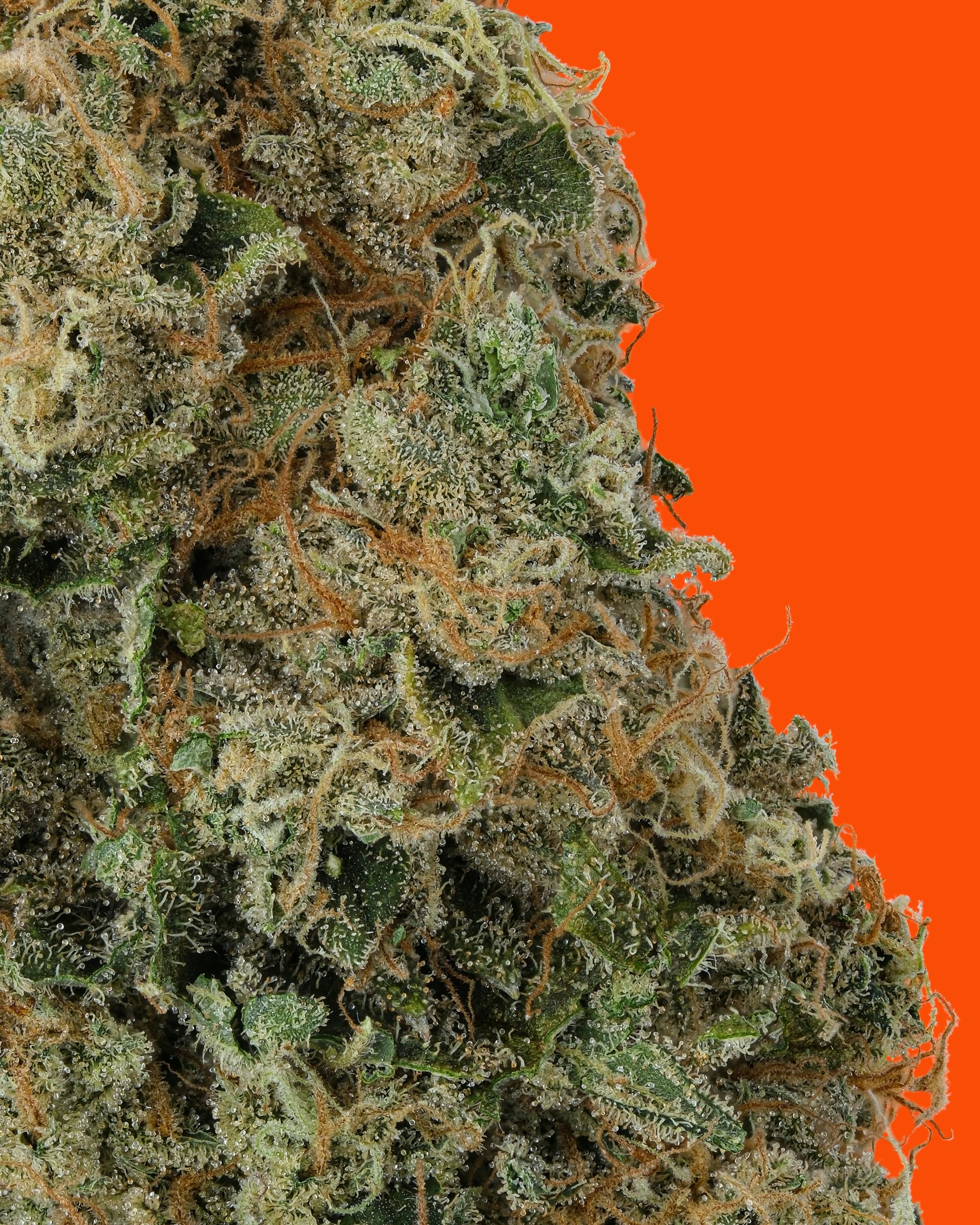 Chem Fruit