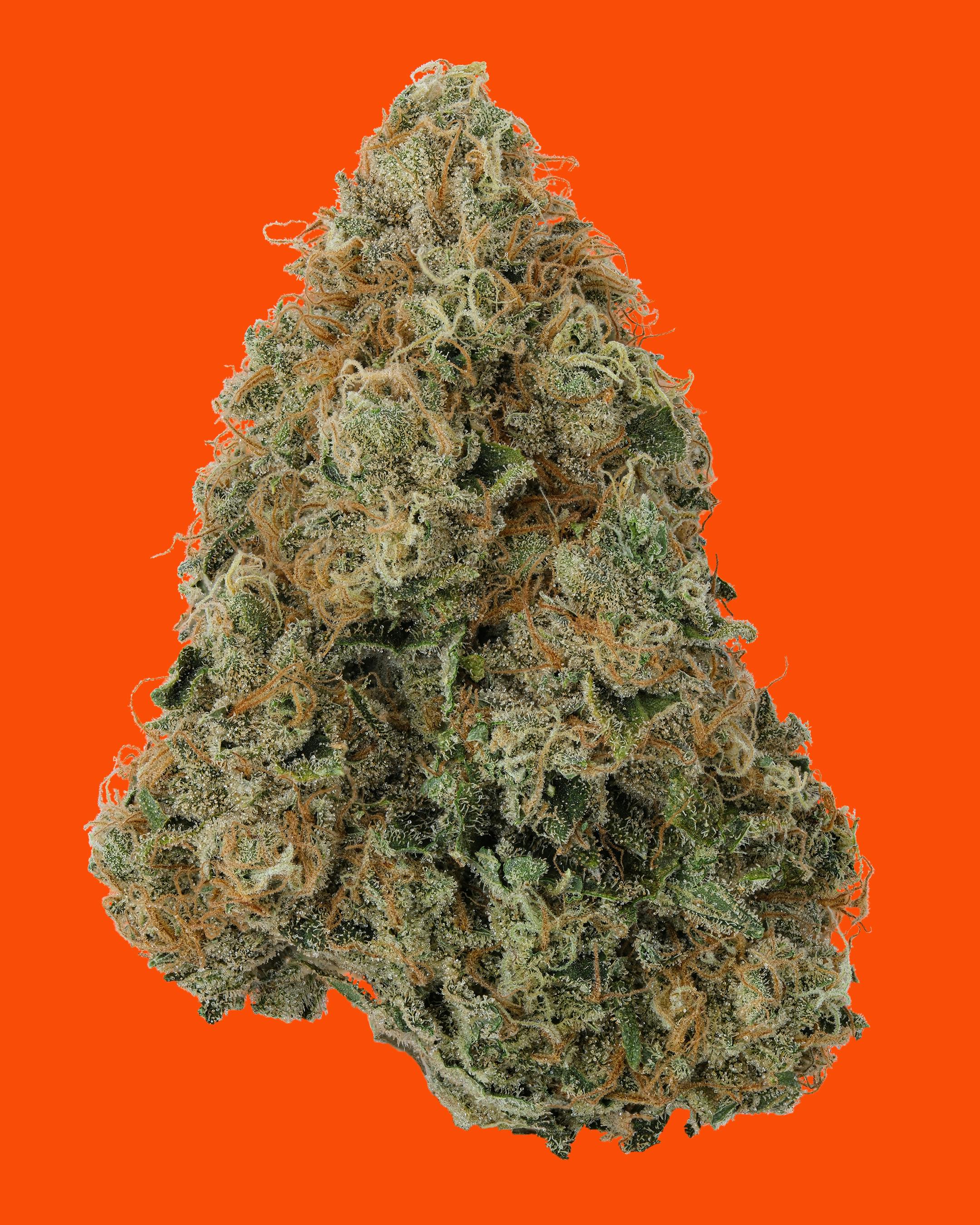 Chem Fruit