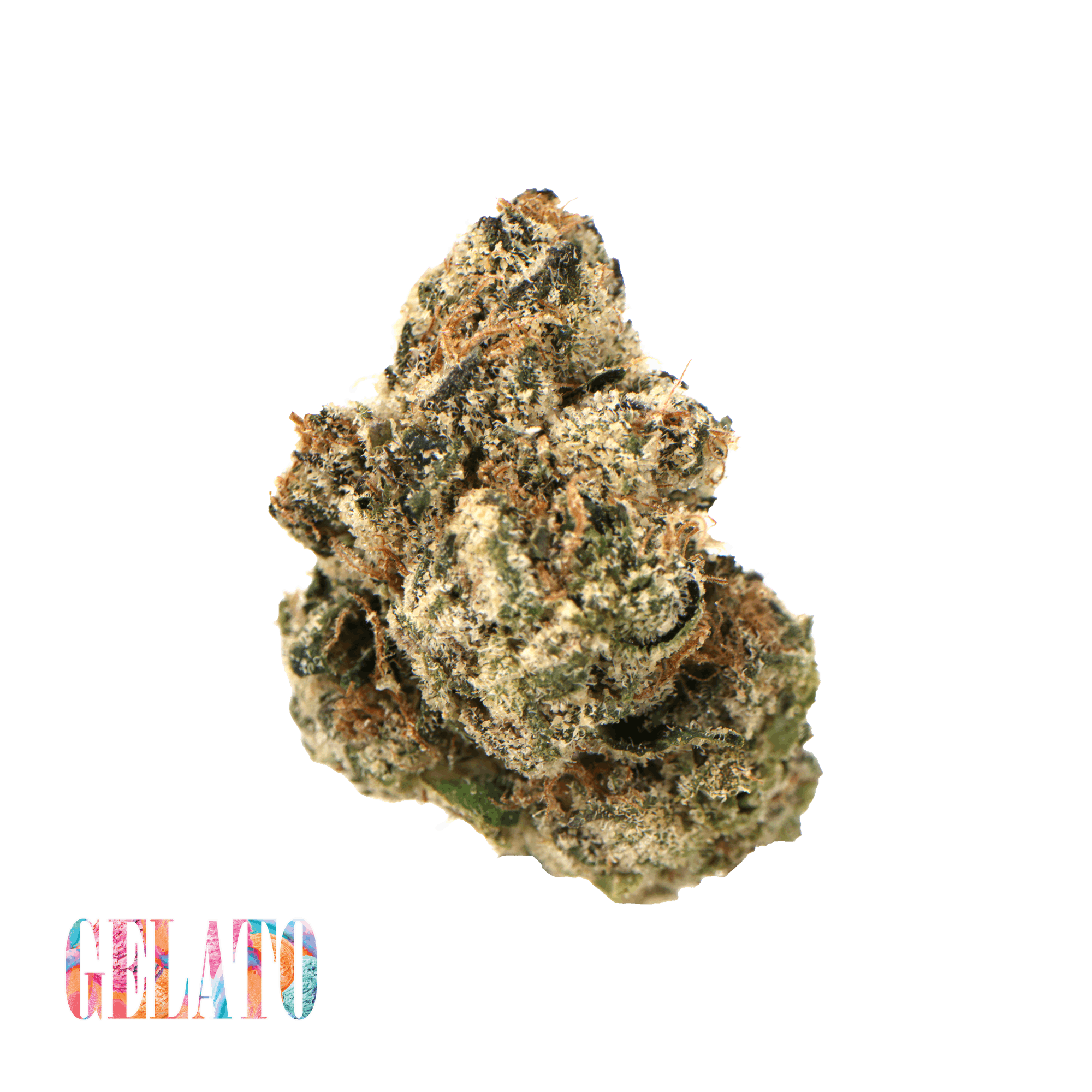 Traditional - Gelato 3.5g 1 Traditional - Gelato 3.5g