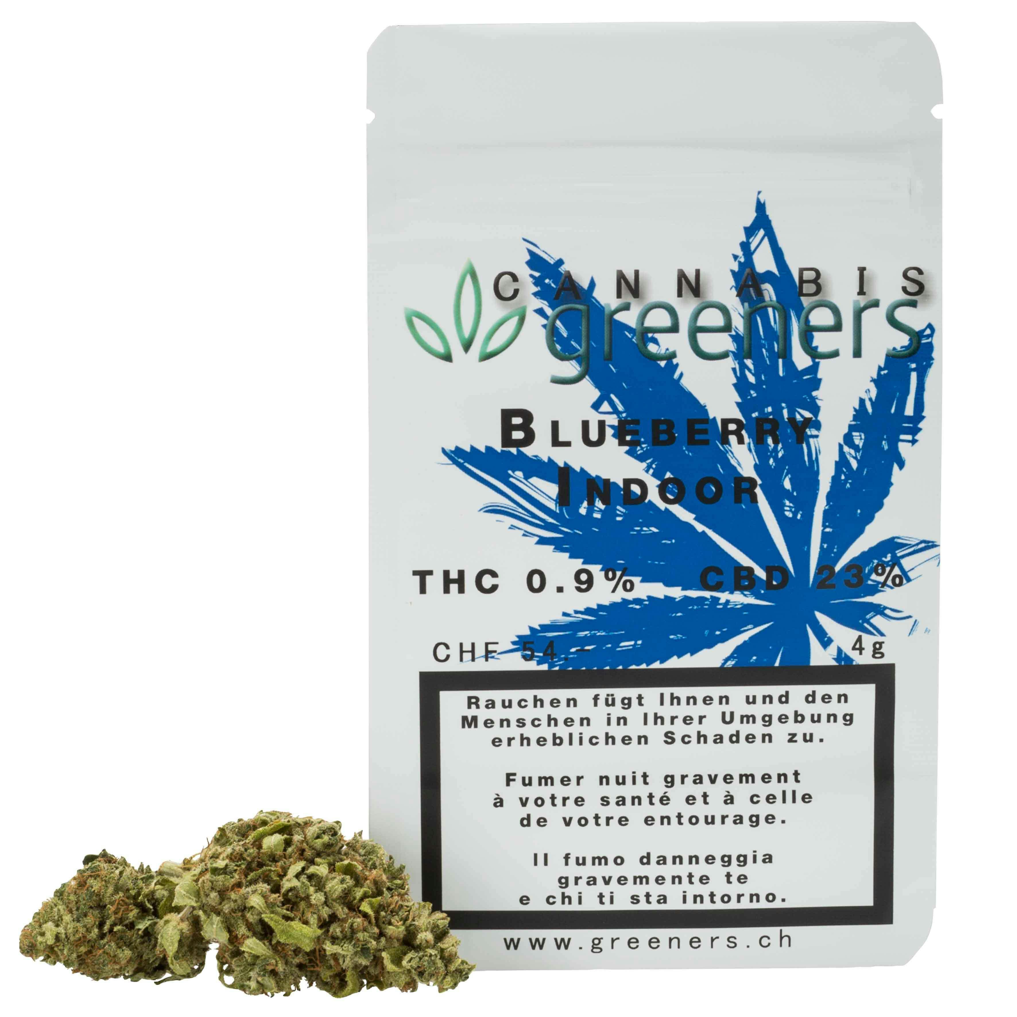 Blueberry Indoor