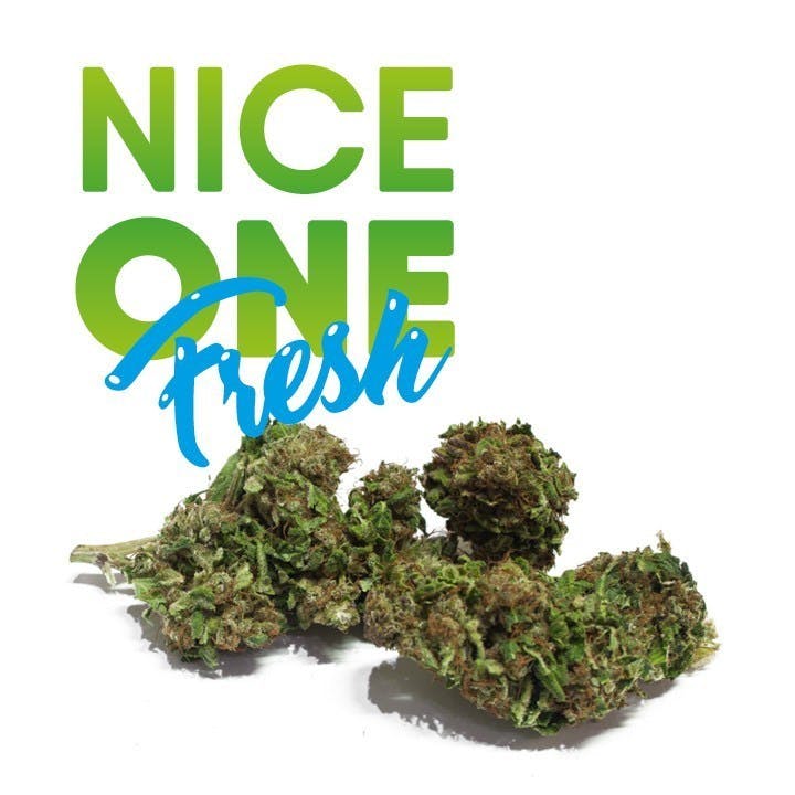 Basic-CBD Nice One Fresh 2 Basic-CBD Nice One Fresh