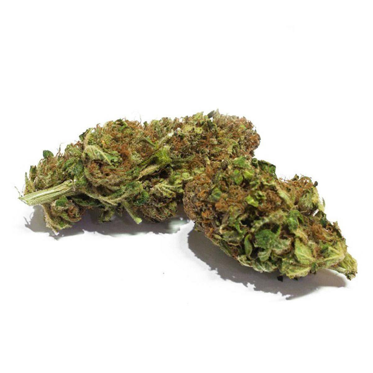 Premium-CBD Ultra Violet 1 Premium-CBD Ultra Violet