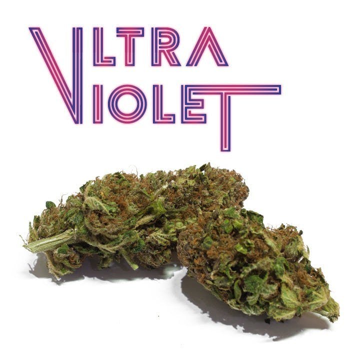 Premium-CBD Ultra Violet 2 Premium-CBD Ultra Violet
