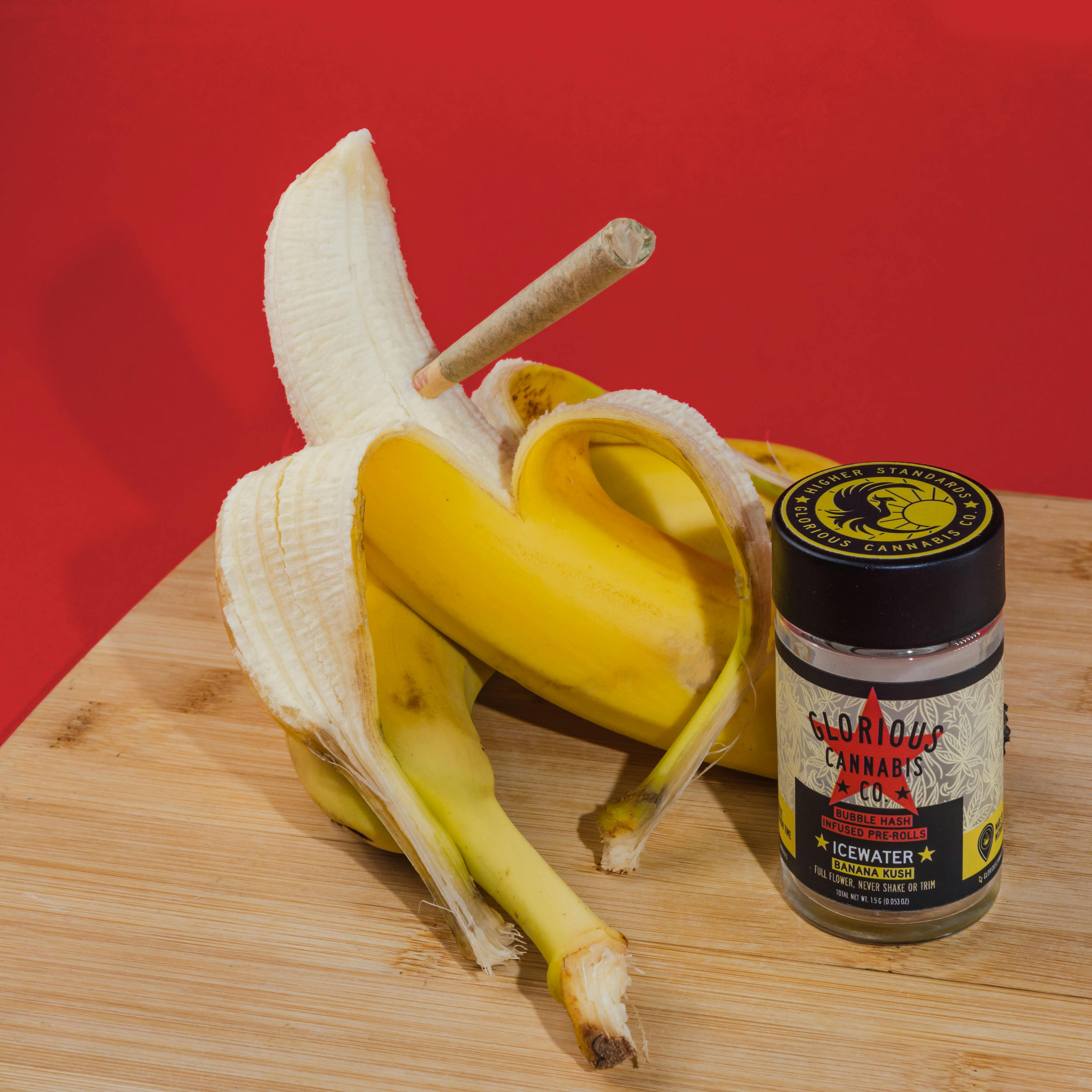 Banana Kush MultiPack | Bubble Hash Infused | Glorious Cannabis Co.