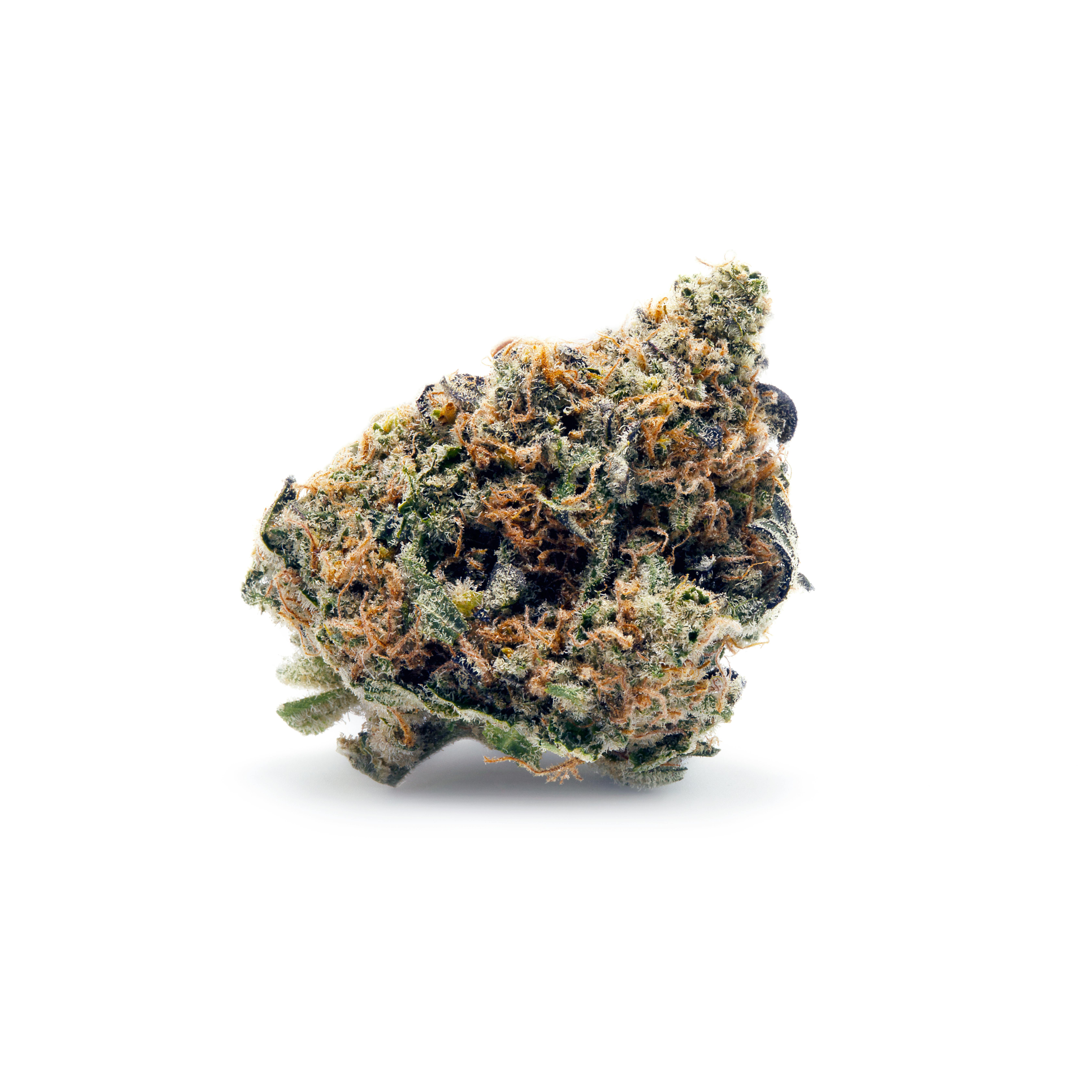 Mendo Breath