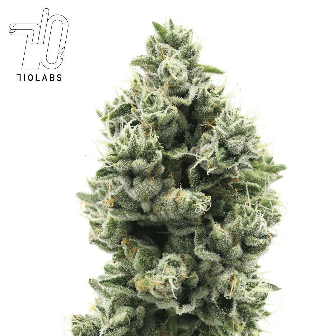 The Sweeties #7 Flower 1 The Sweeties #7 Flower