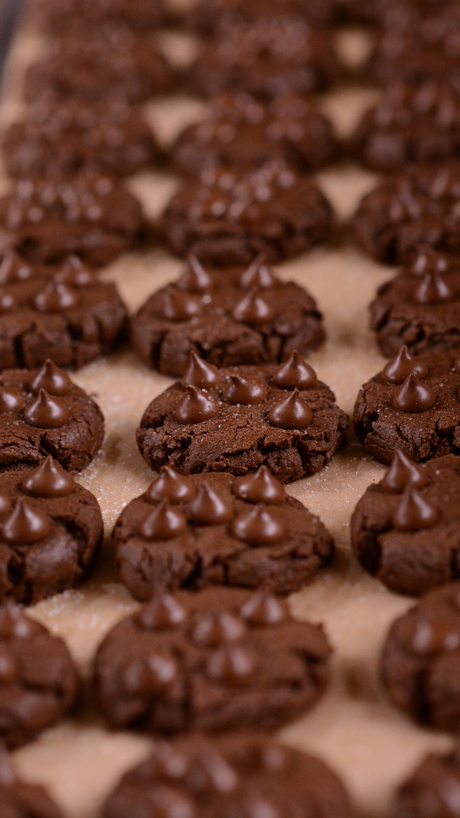 Lady Gray - Medibles - Cookies - Mocha Chocolate Chunk