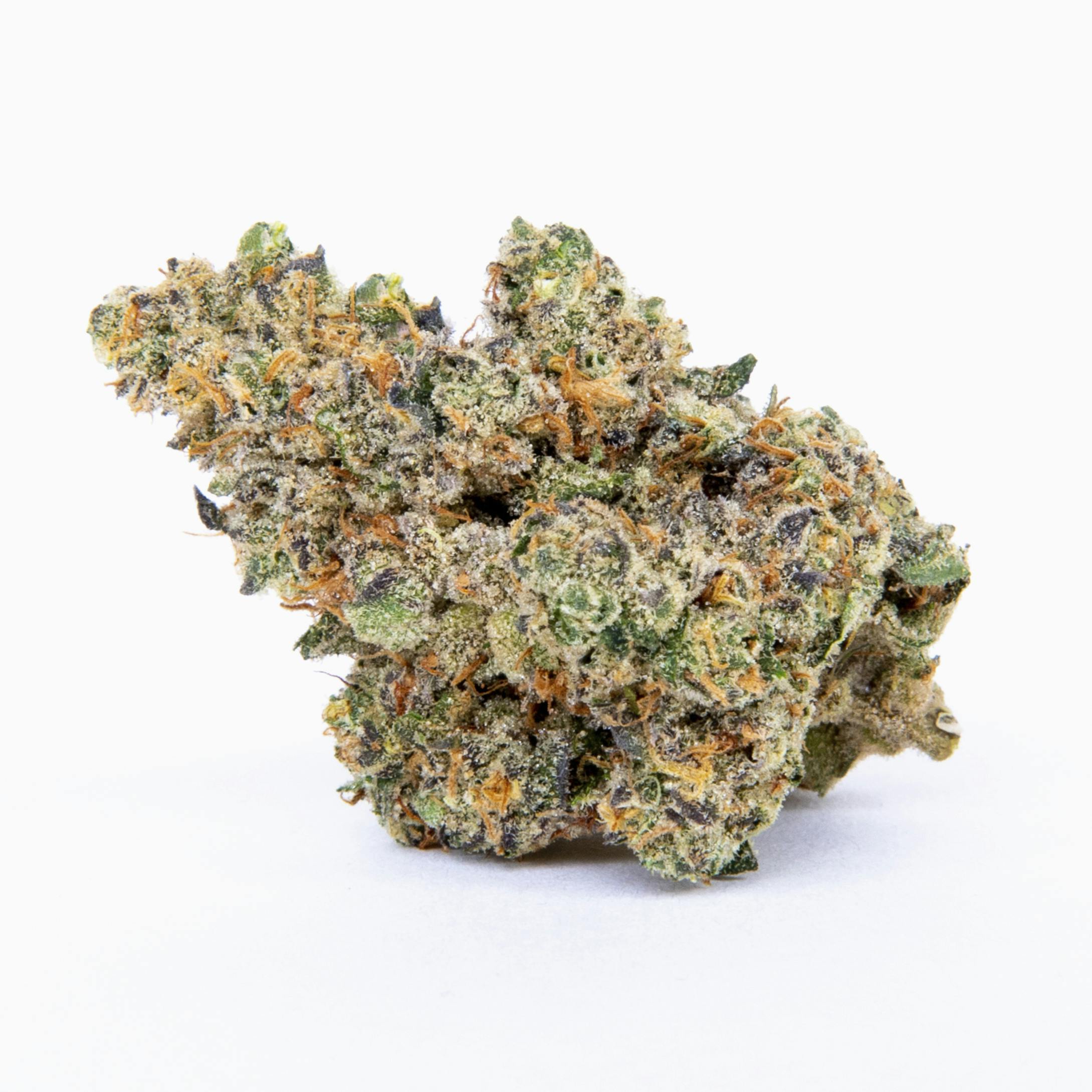 Spritzer | 14.17g Indoor 1 Spritzer | 14.17g Indoor