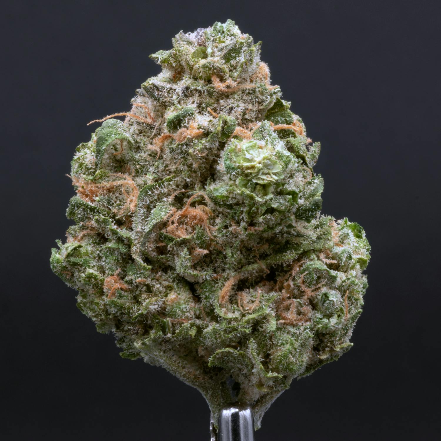 Blue Dream (3.5 Grams)
