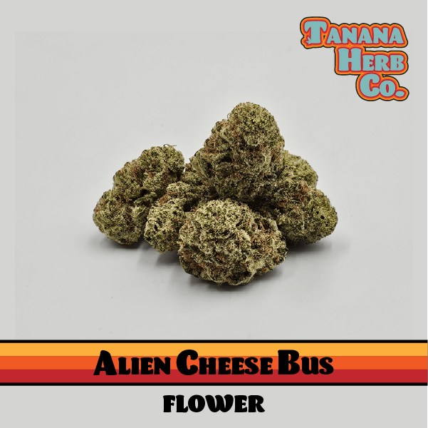 Alien Cheese Bus - Deli Flower
