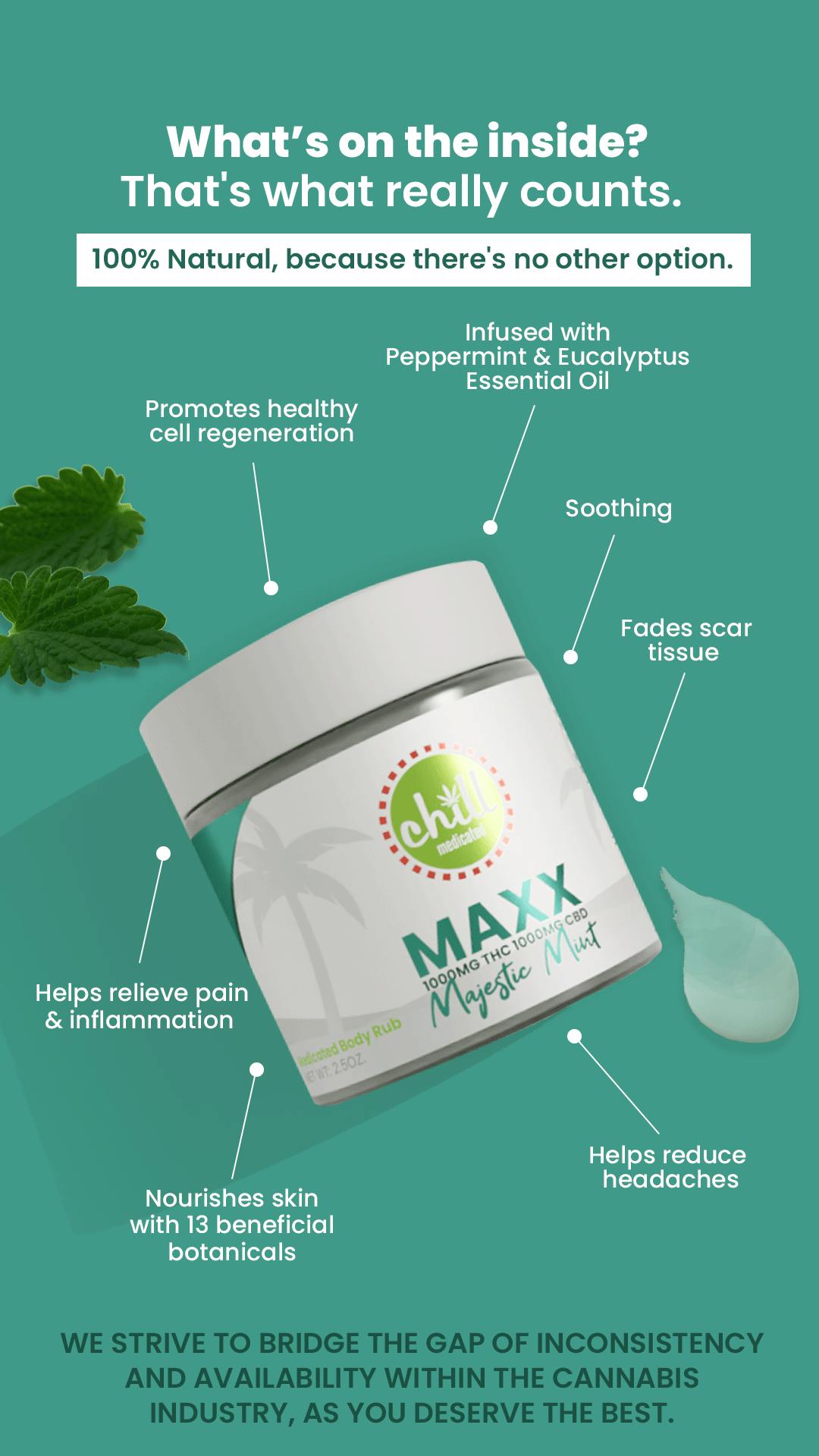 1000mg THC : 1000mg CBD | MAXX Majestic Mint Body Rub | REC