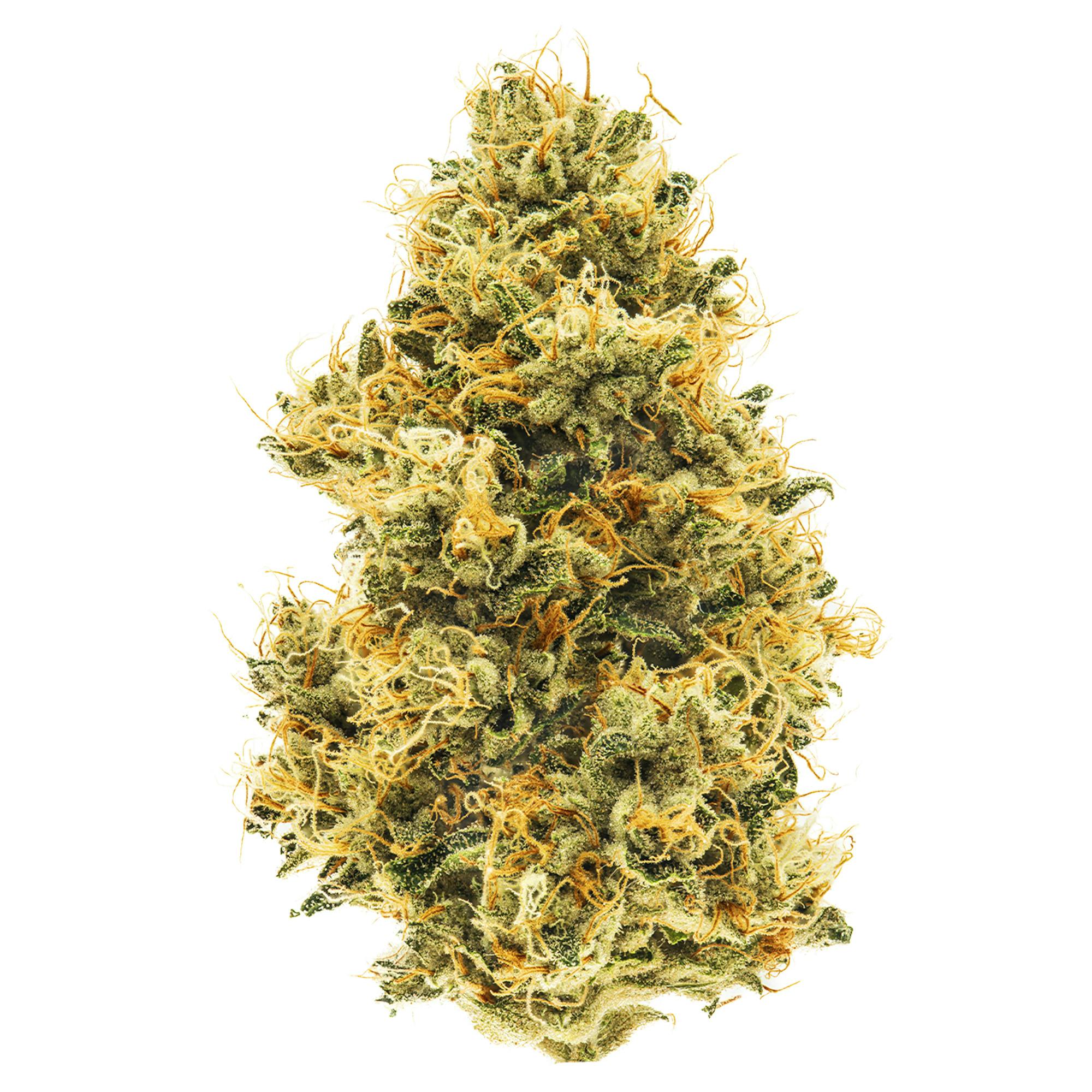 Emerald OG