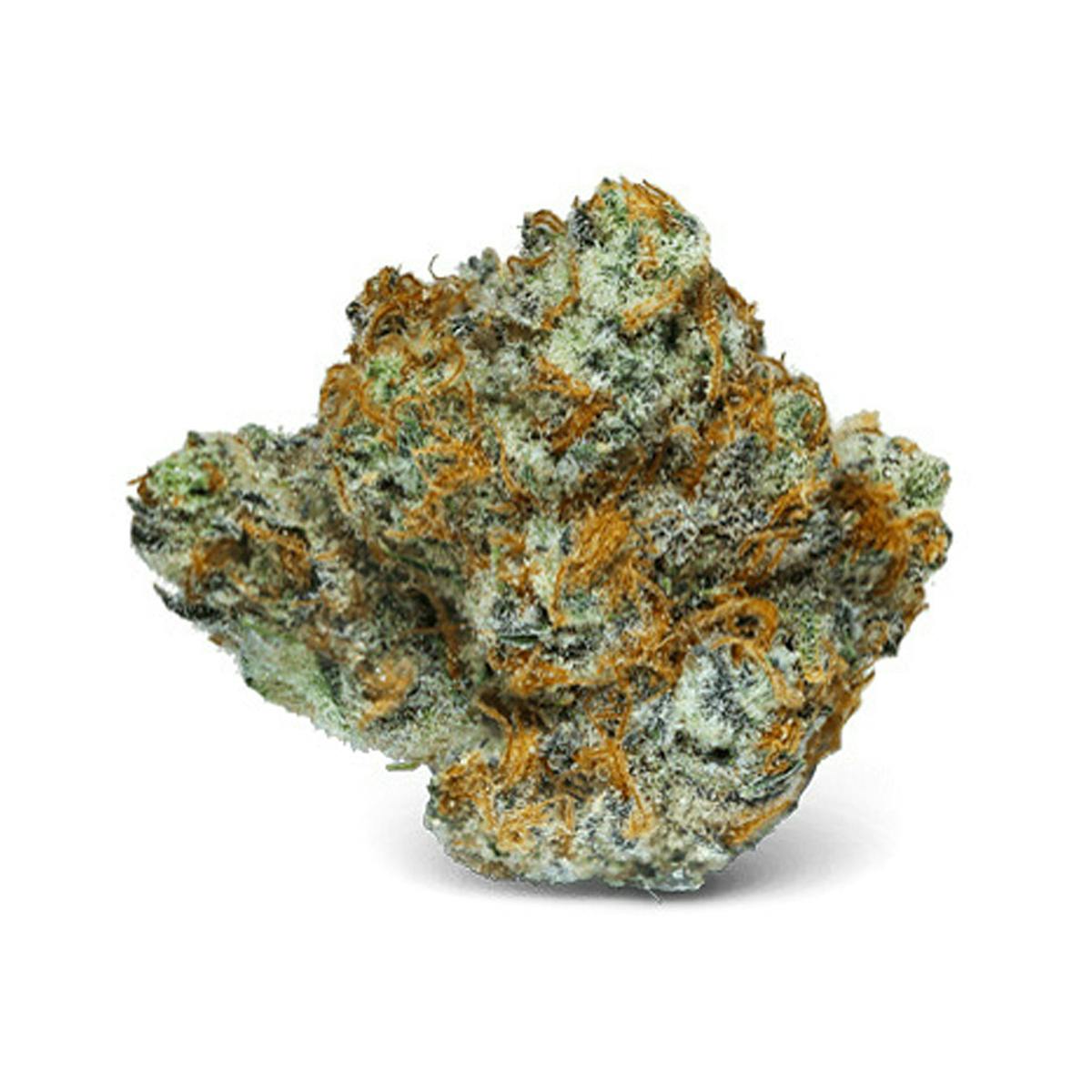 Black Raspberry #23