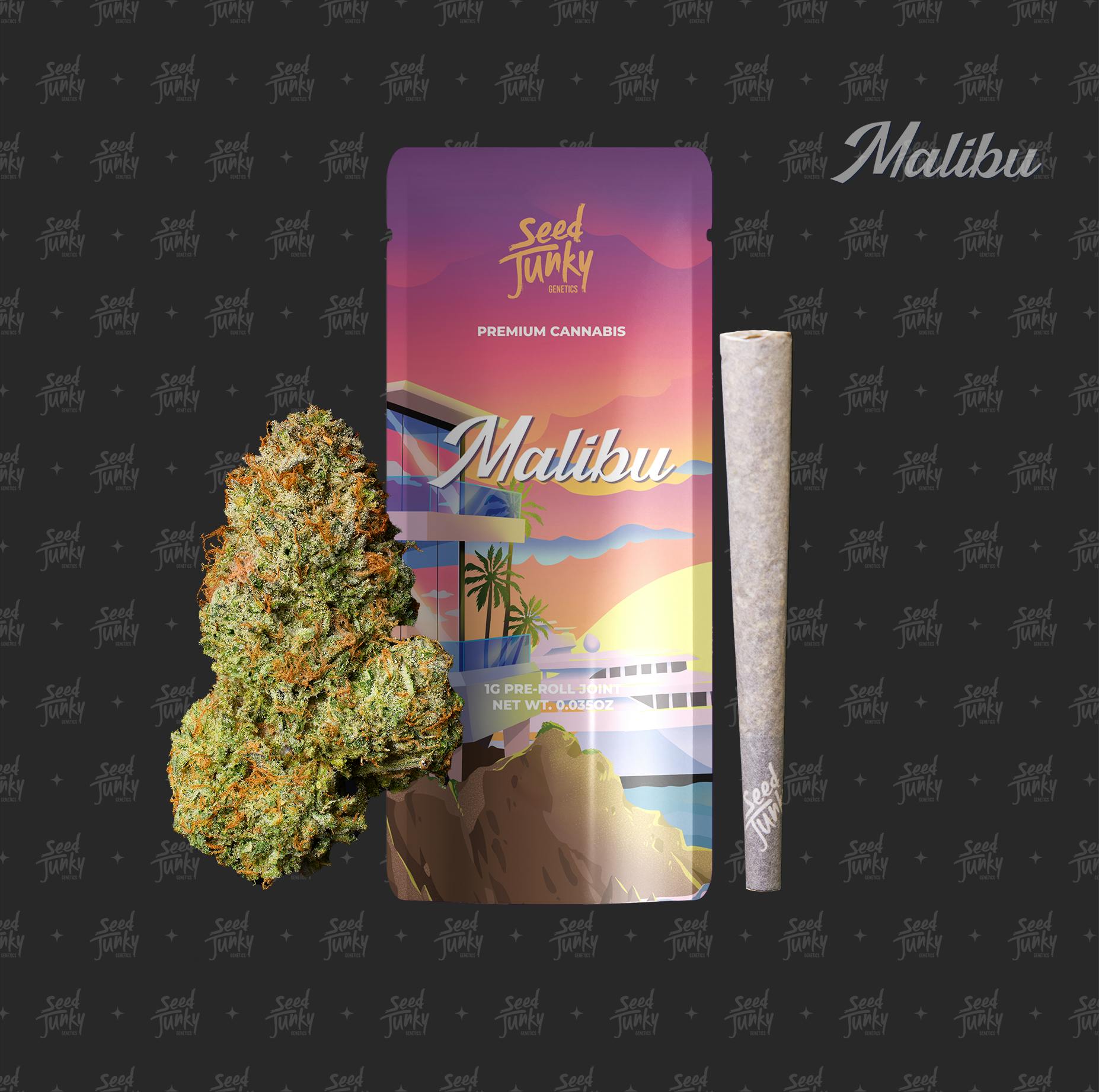 MALIBU (1G Pre-Roll) 1 MALIBU (1G Pre-Roll)