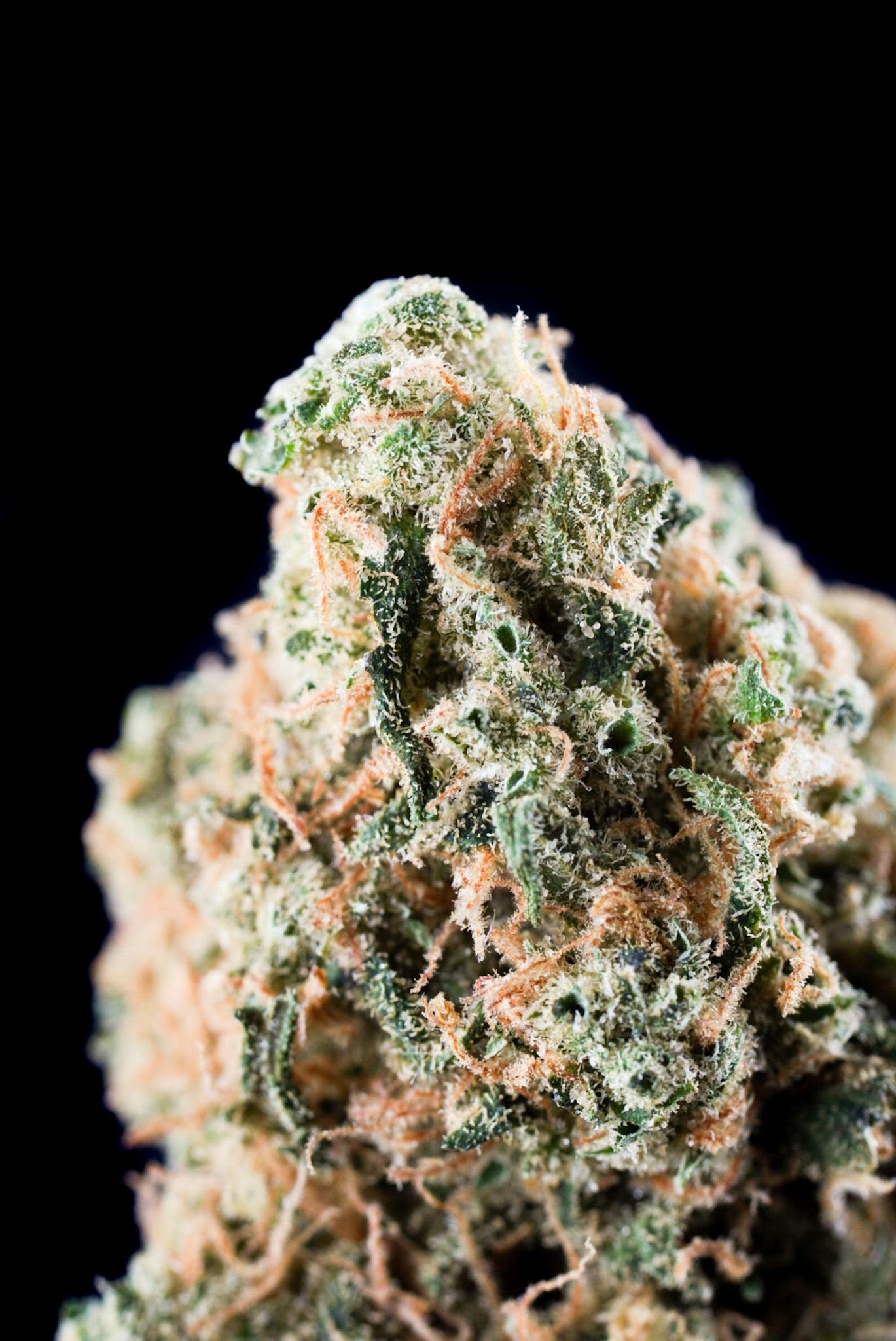 Golden Pineapple
