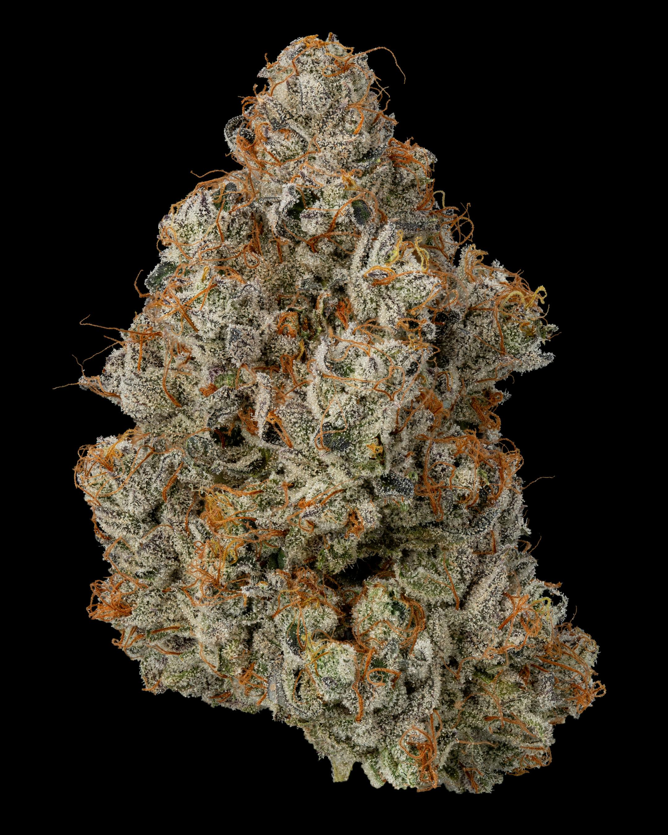 Secret Cookies