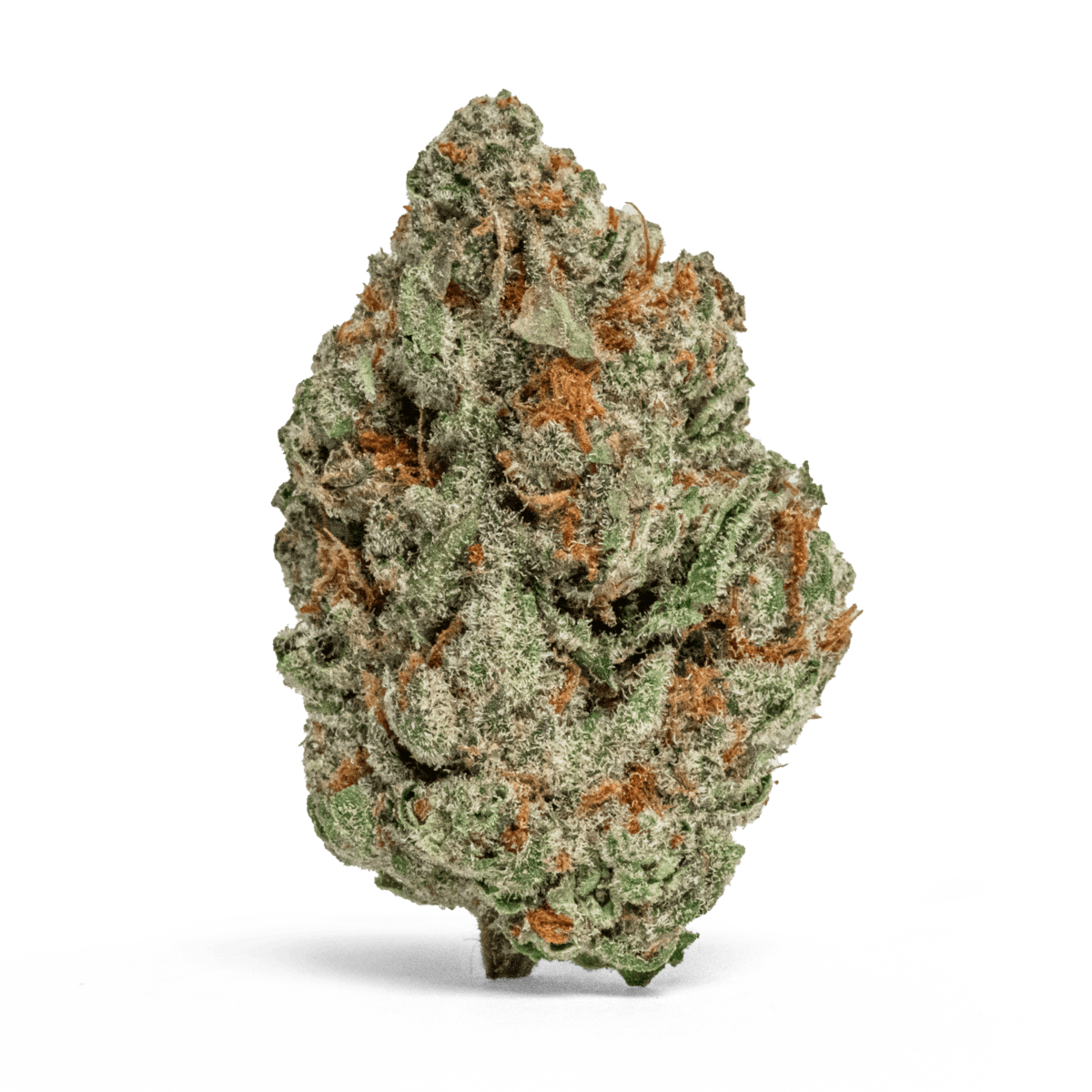 MR. ZIPS | Cheetah Haze | 3.5g Flower