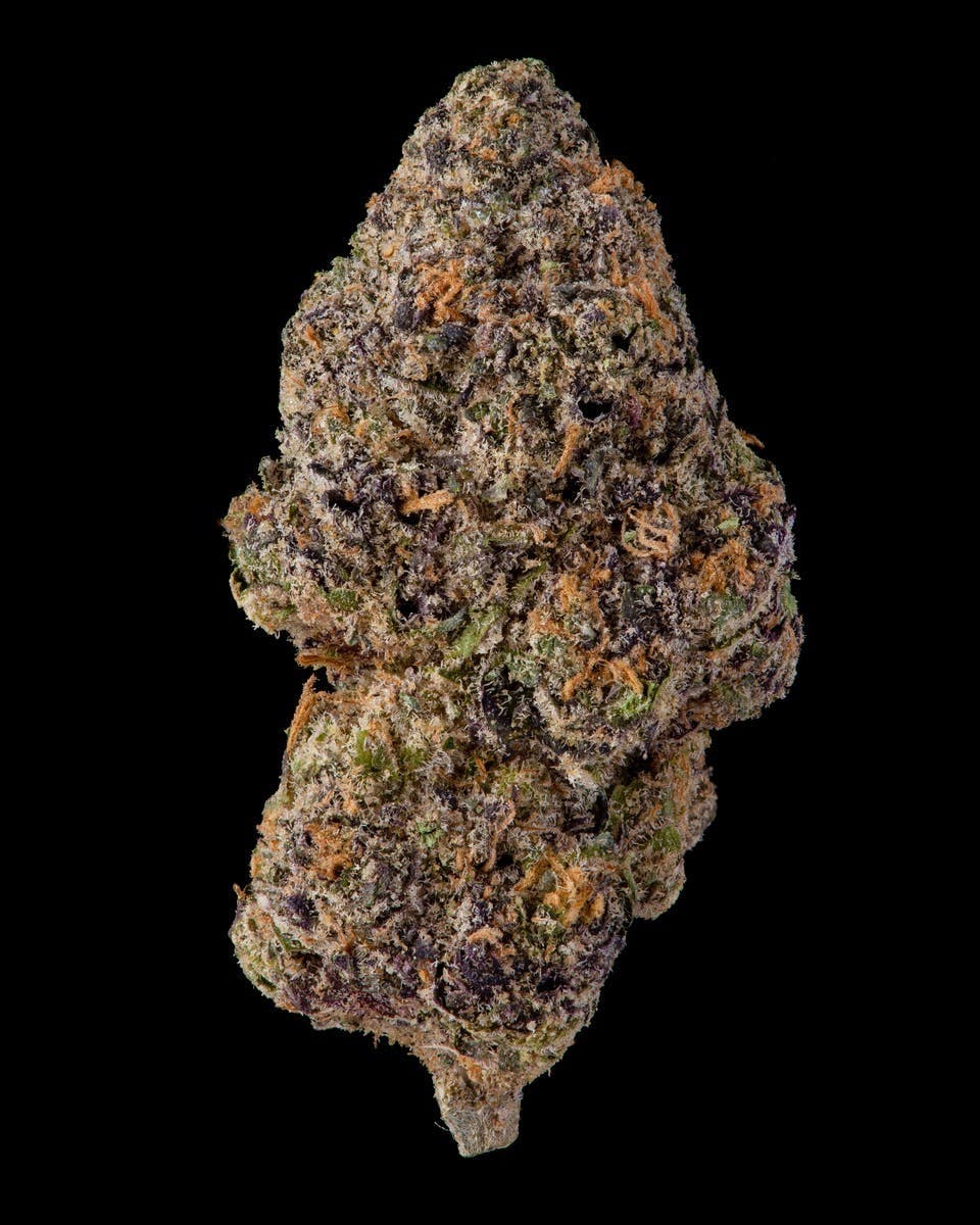 Cookies - 3.5G Flower Tub - Adios Mother Fucker