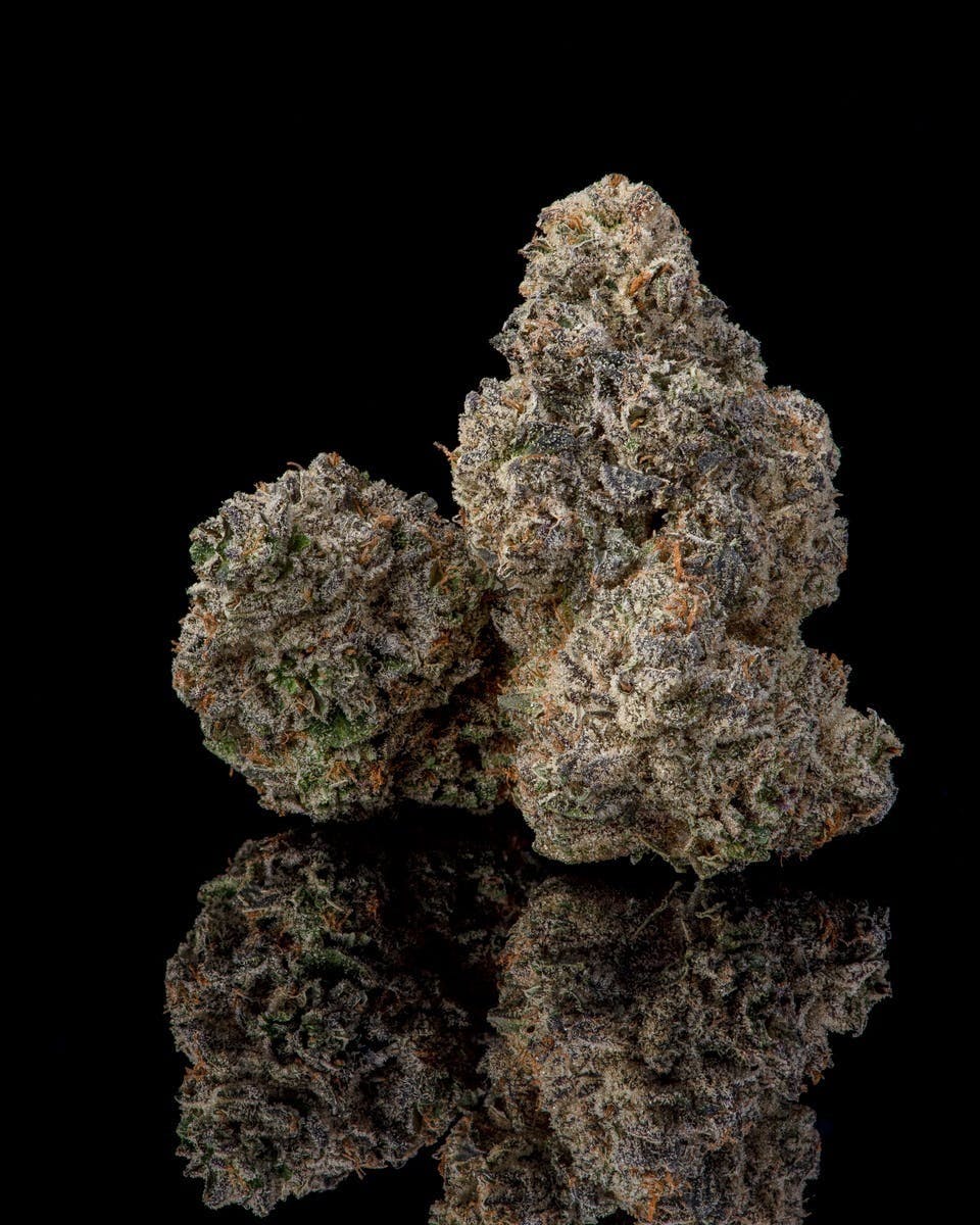 Cookies - 3.5G Flower Tub - BernieHana Butter