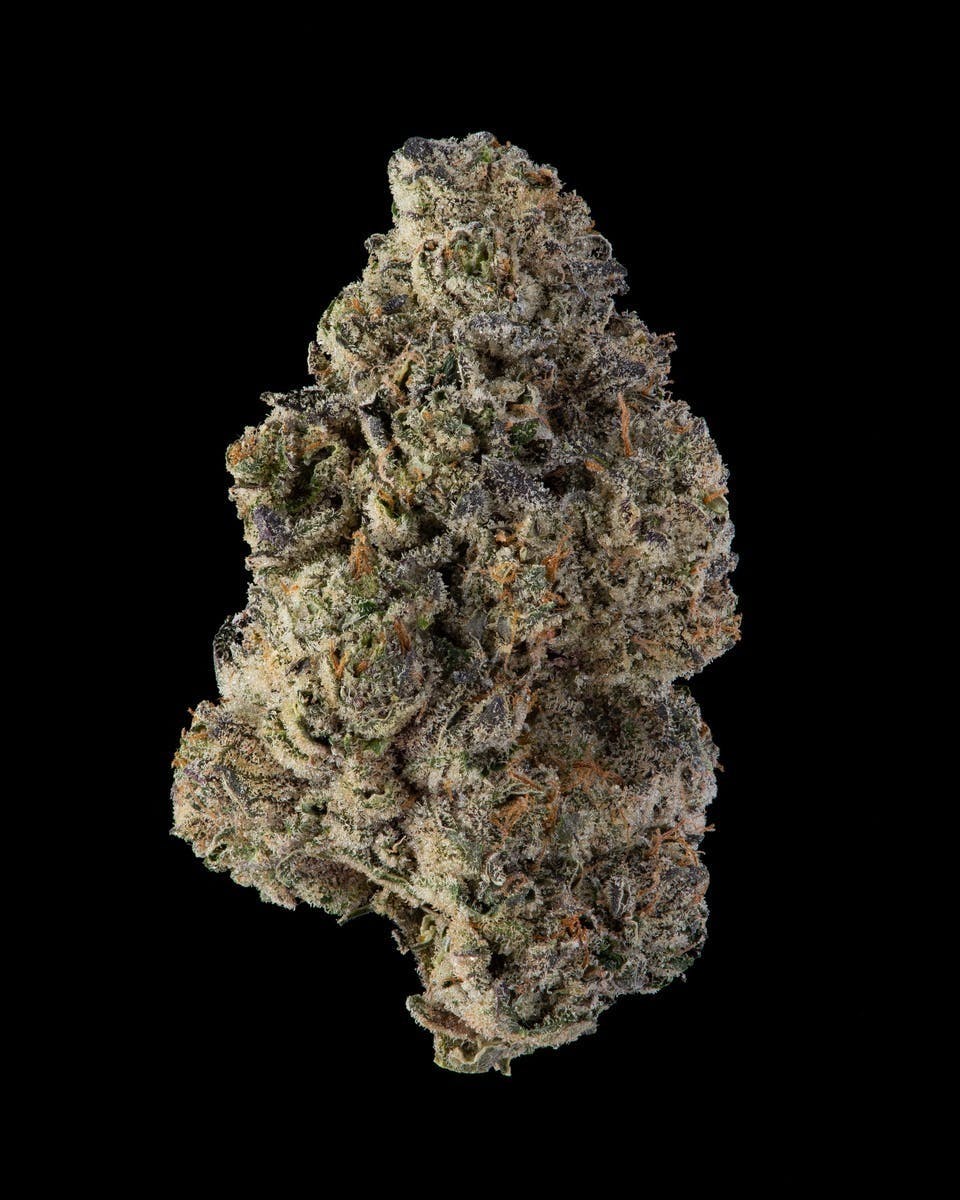 Cookies - 3.5G Flower Tub - BernieHana Butter