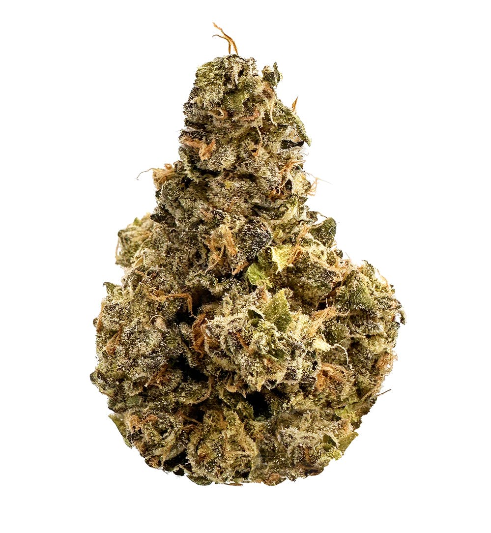 Vivid - Florida Kush - Indica