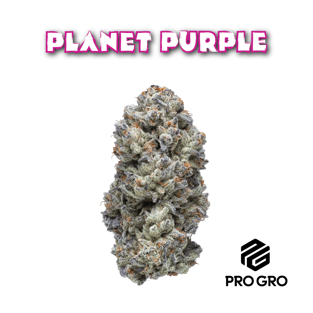Planet Purple 1 Planet Purple