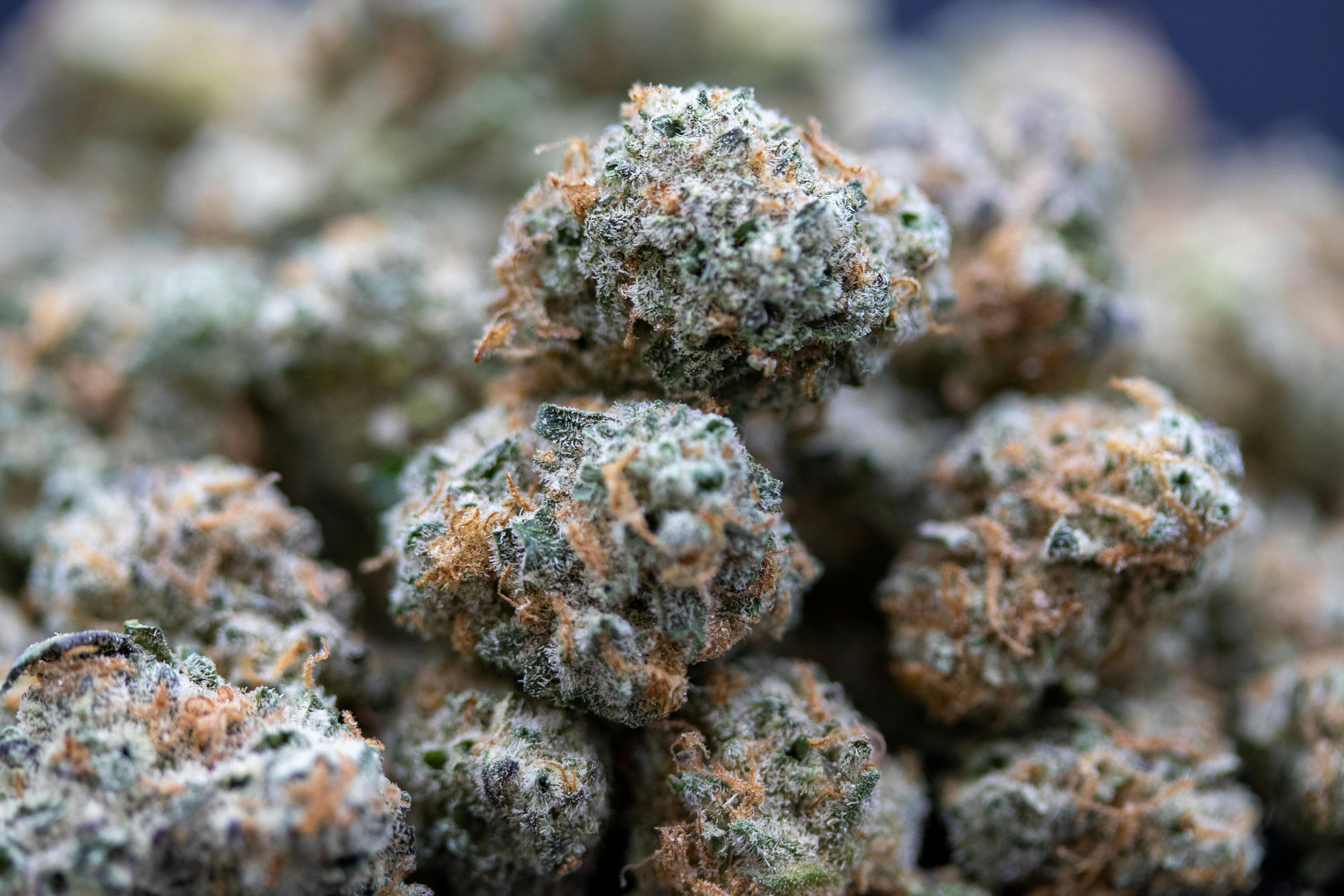 Mockingbird Premium Cannabis Smalls: First Class Funk 7g bag