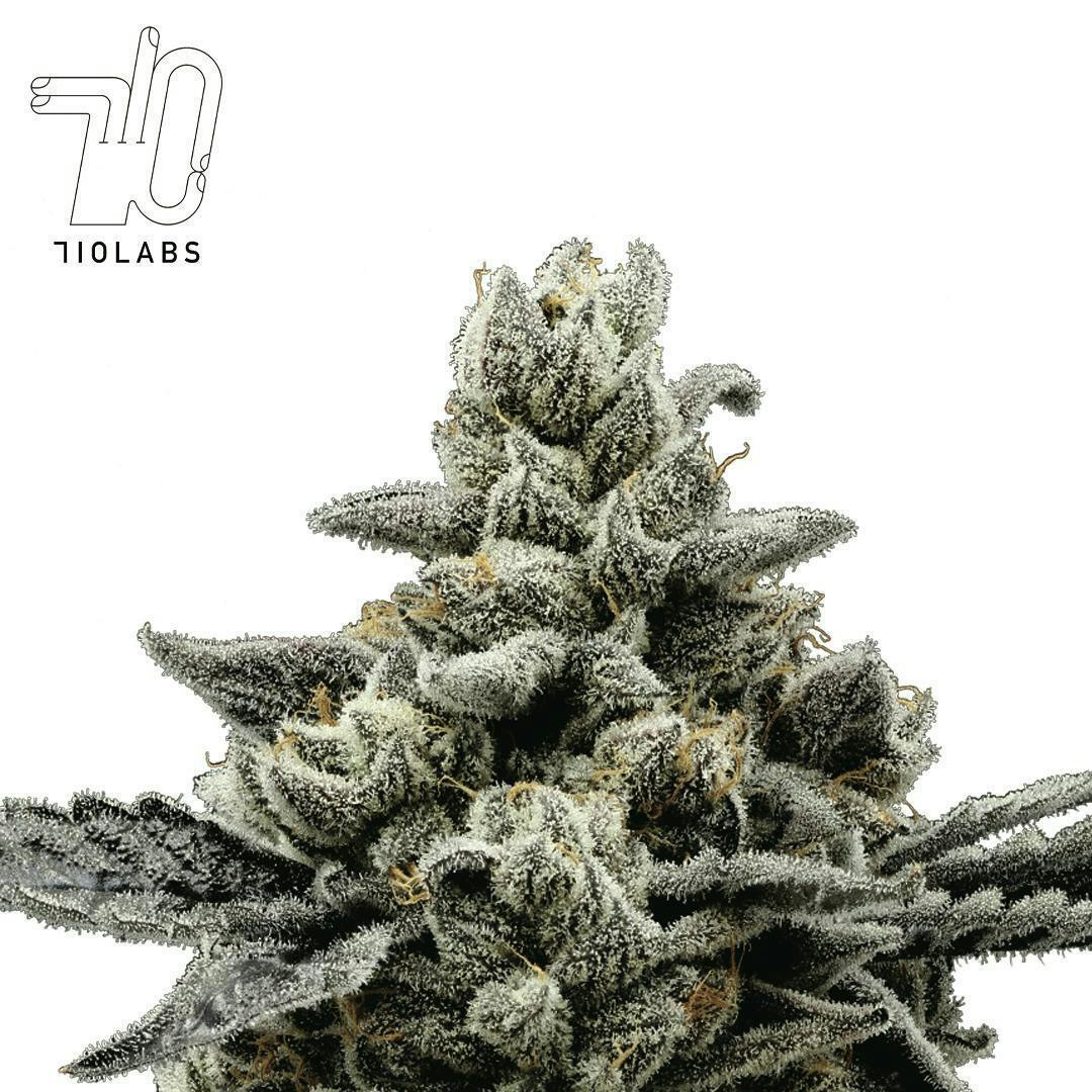Randy Watzon #13 - Flower 1 Randy Watzon #13 - Flower