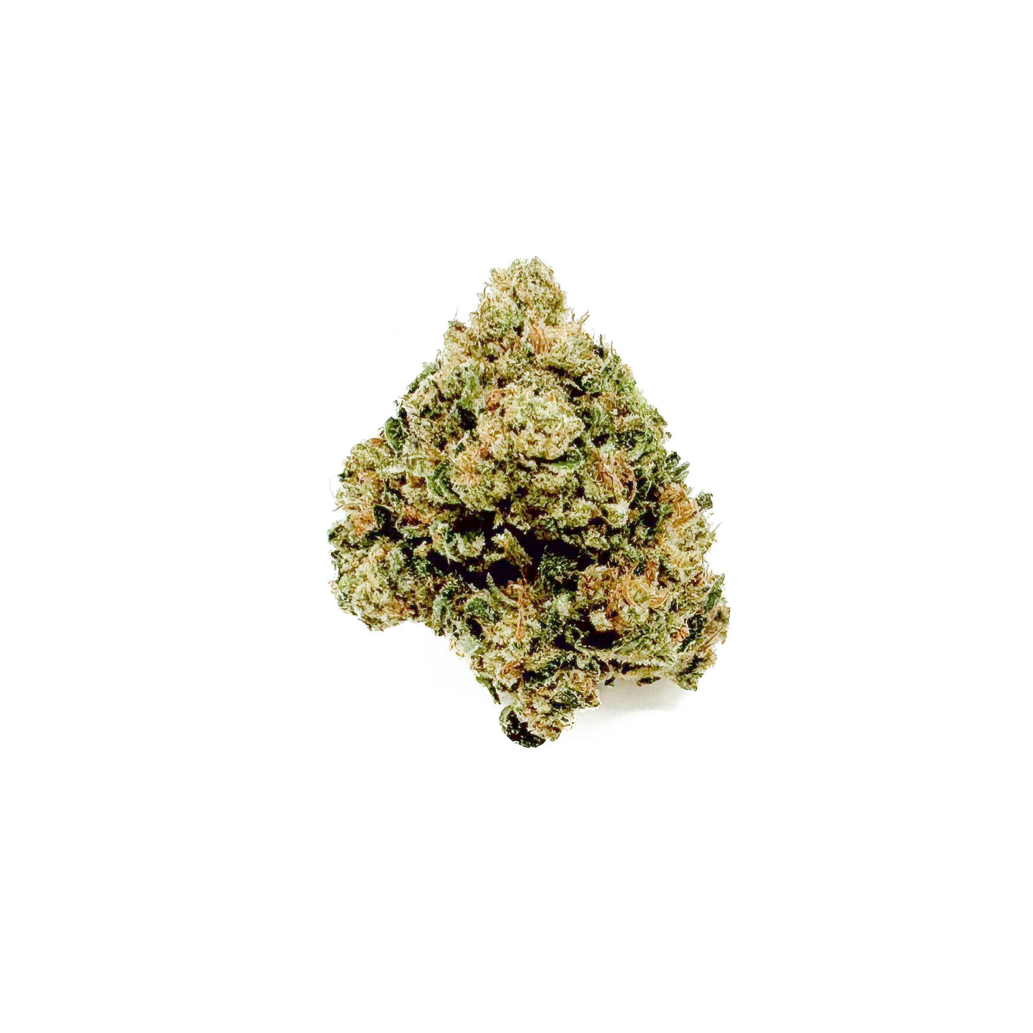 Pouch Flower - G13
