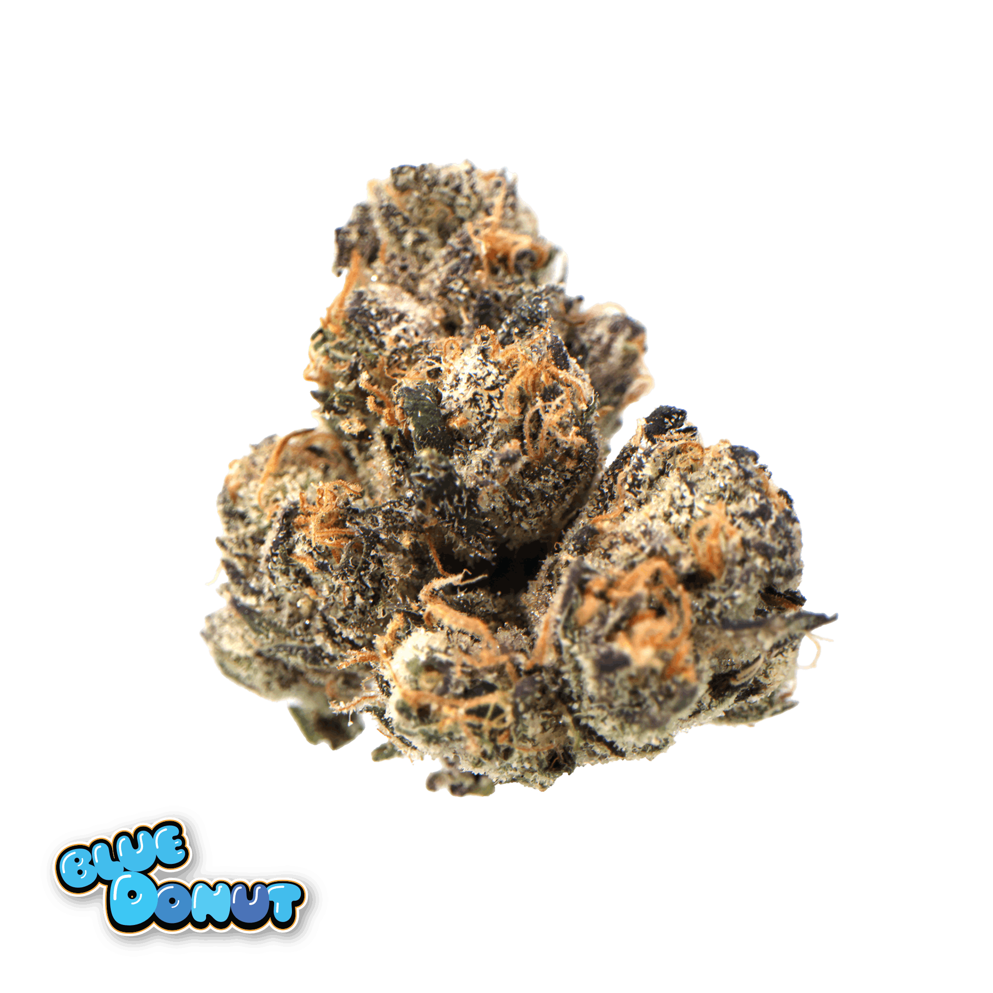 Traditional - Blue Donut 3.5g