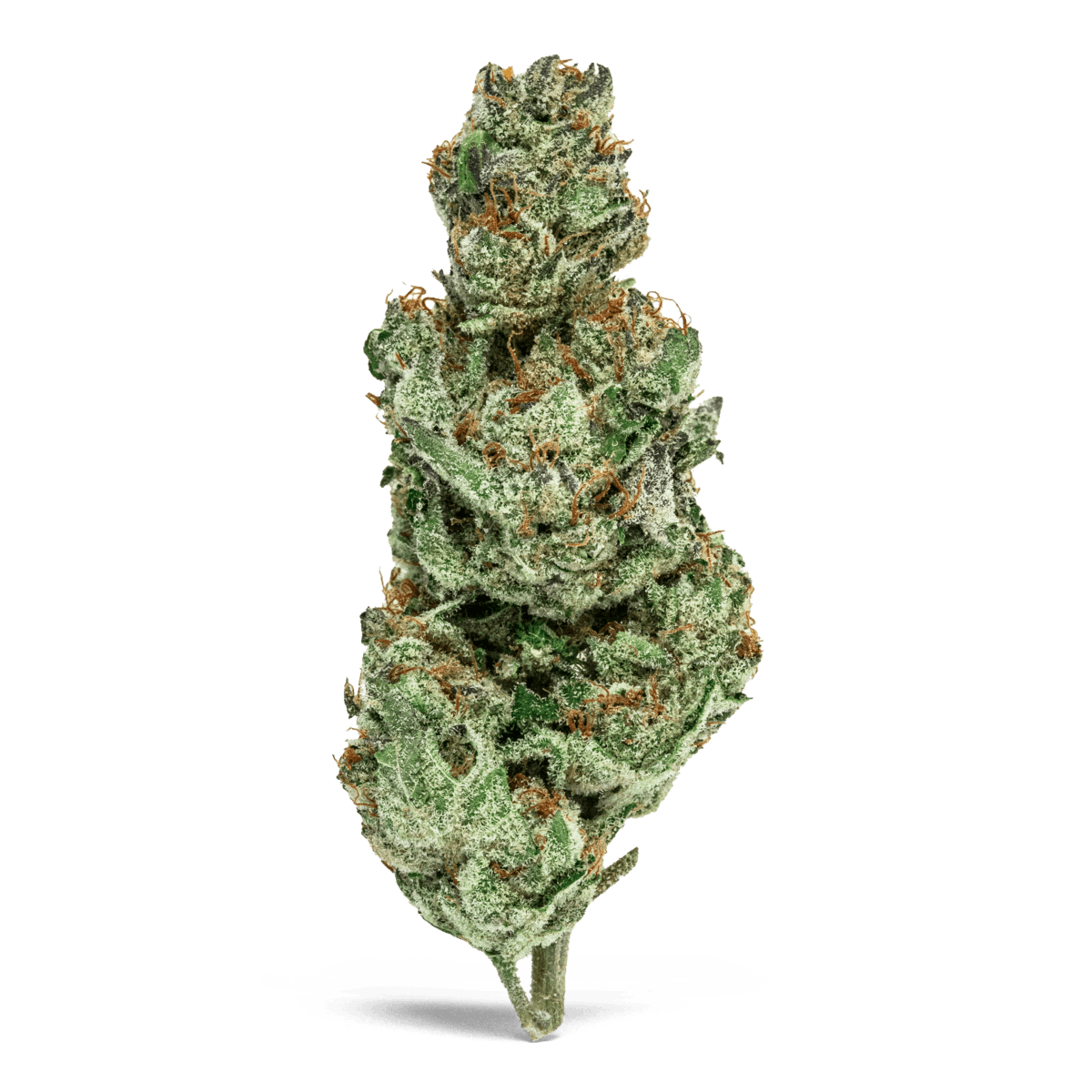 MR. ZIPS | Space Rocks | 3.5g Flower 3 MR. ZIPS | Space Rocks | 3.5g Flower