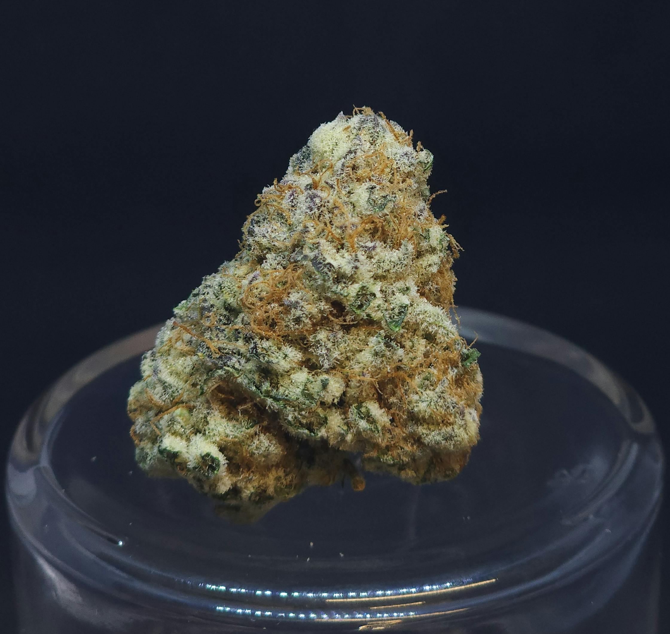 Purple Punch 14g Flower
