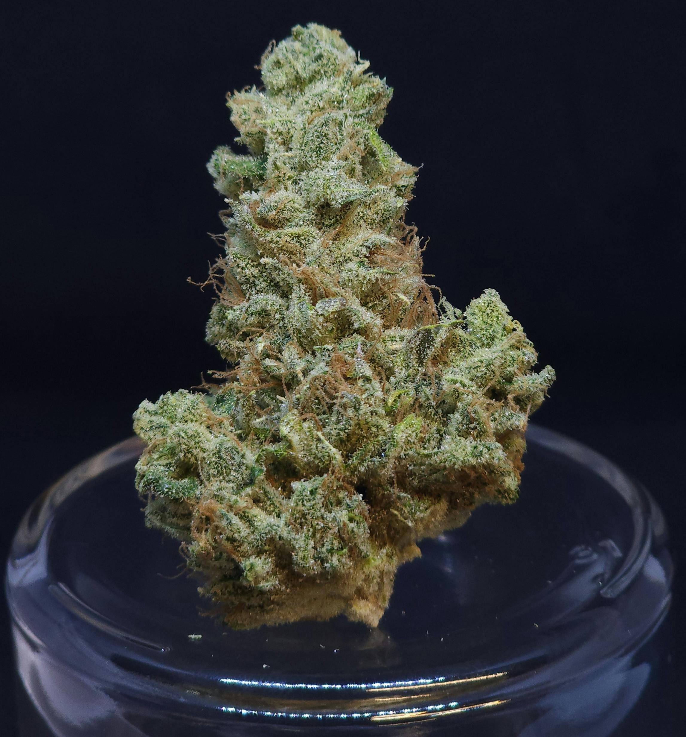 Scuba's KeyLime OG .5g Pre-Roll