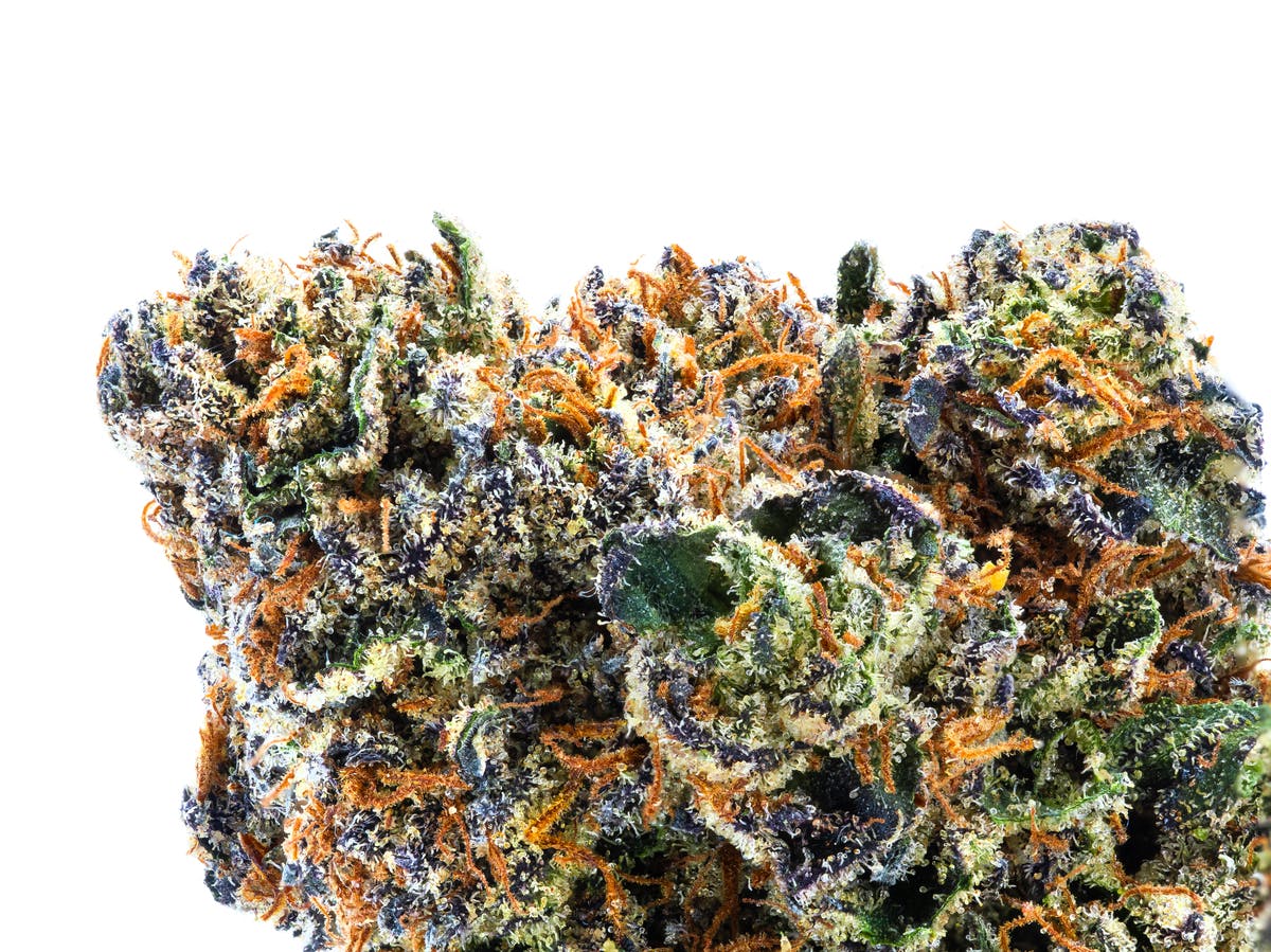 Vivid - Jokerz Candy - Hybrid