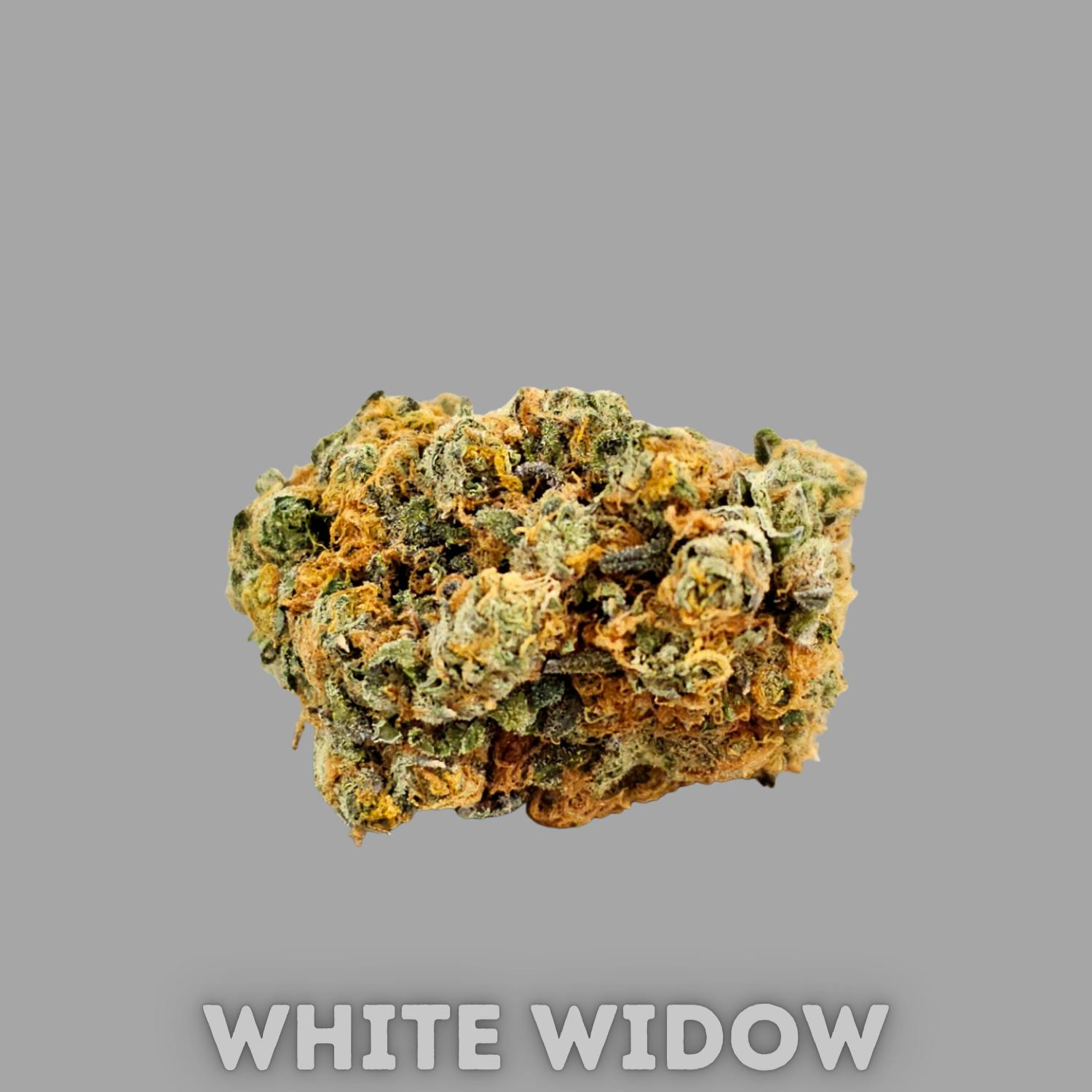 WHITE WIDOW – 3.5 GRAM PACKAGE 1 WHITE WIDOW – 3.5 GRAM PACKAGE