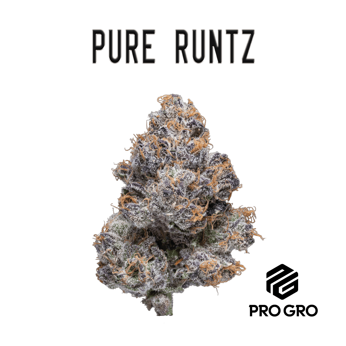 Pure Runtz Bubble Hash Infused Pre-Roll | 1g (3Pk) 1 Pure Runtz Bubble Hash Infused Pre-Roll | 1g (3Pk)