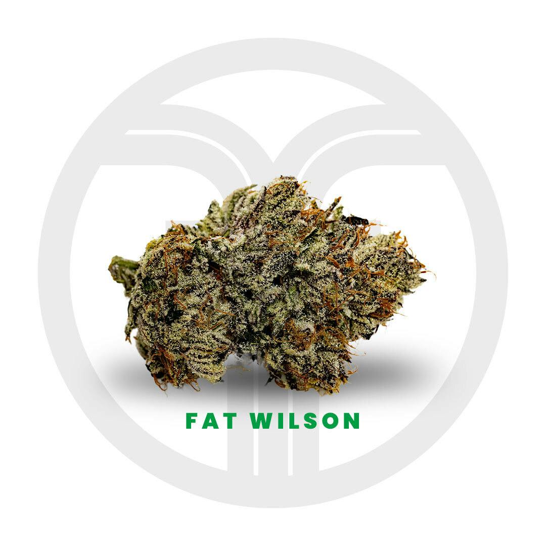 Fat Wilson Flower