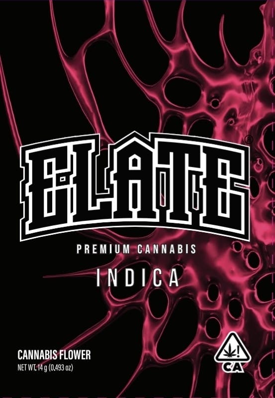 GELATO 7G