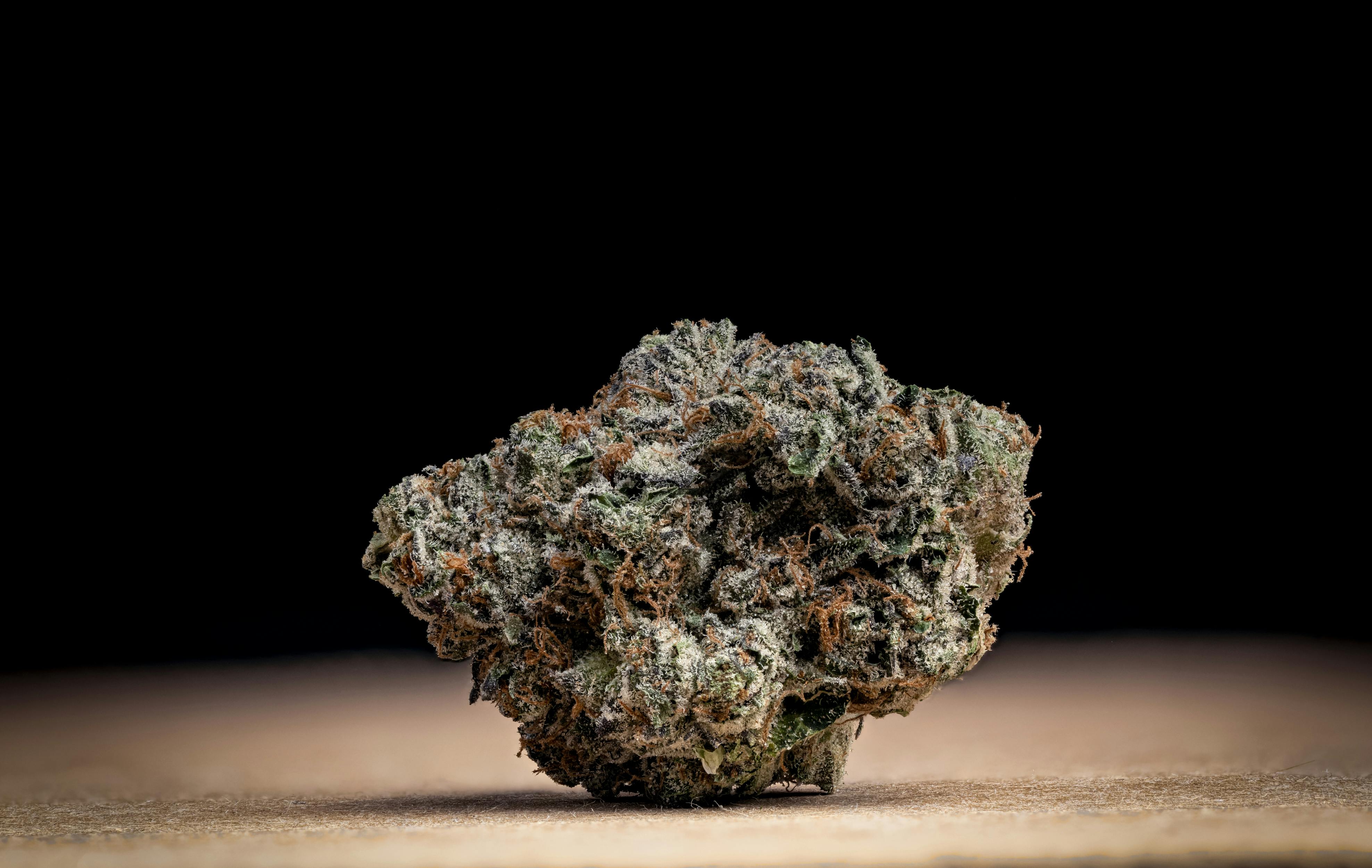 Gelato Cake Pre-Packaged Flower