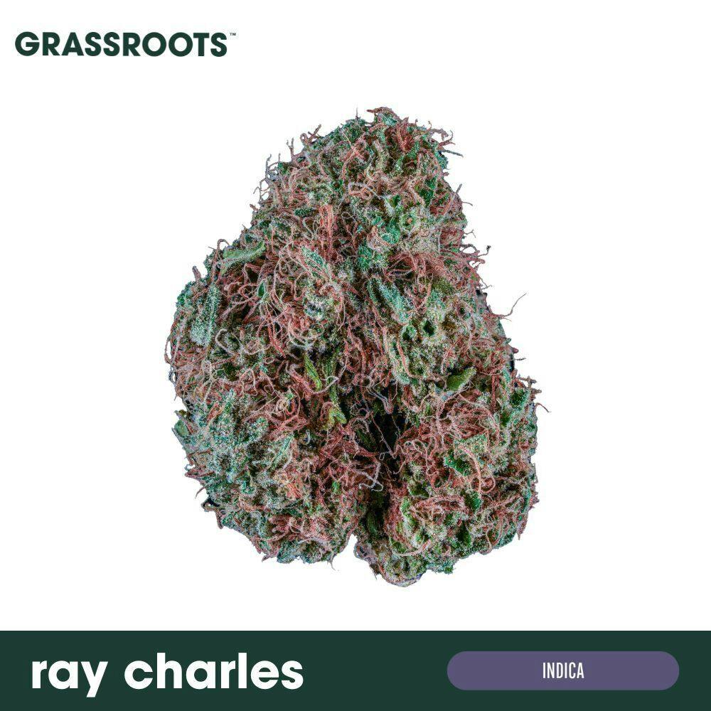Ray Charles Flower